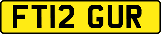 FT12GUR