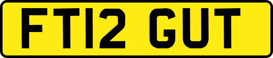 FT12GUT