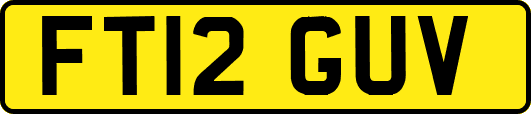 FT12GUV