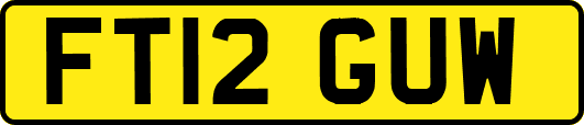 FT12GUW