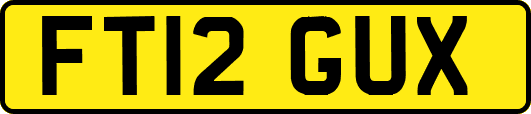 FT12GUX