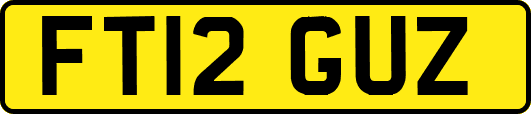 FT12GUZ