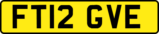 FT12GVE