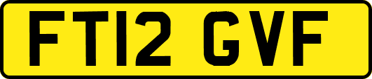 FT12GVF