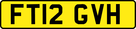 FT12GVH