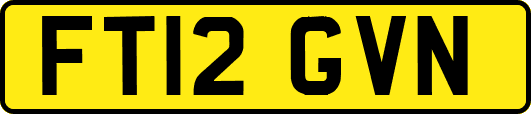 FT12GVN