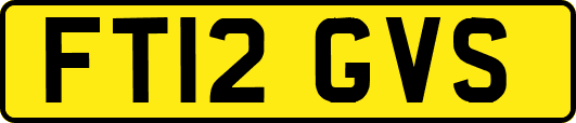 FT12GVS