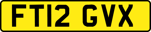 FT12GVX