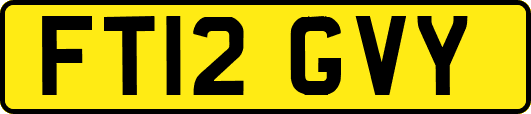 FT12GVY