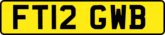 FT12GWB