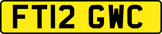 FT12GWC