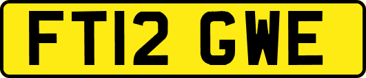 FT12GWE