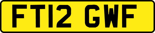 FT12GWF