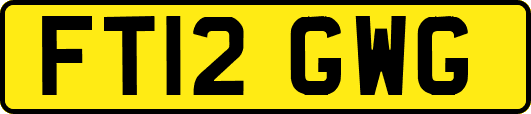 FT12GWG