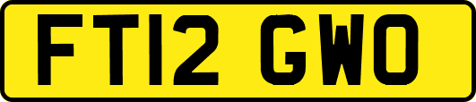 FT12GWO