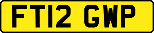 FT12GWP