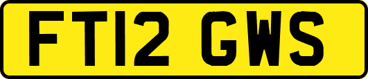 FT12GWS