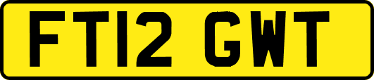 FT12GWT