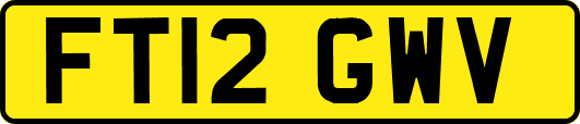 FT12GWV