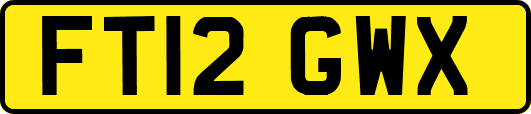 FT12GWX