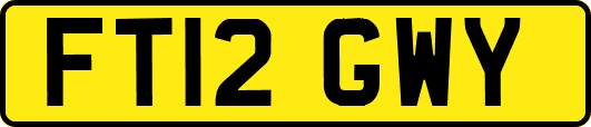 FT12GWY