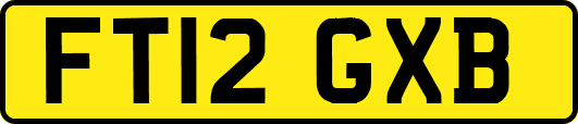 FT12GXB
