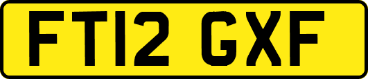 FT12GXF