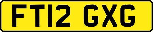 FT12GXG