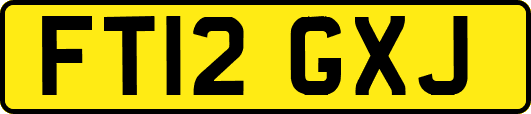 FT12GXJ