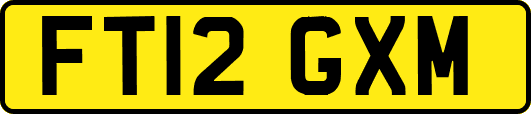 FT12GXM