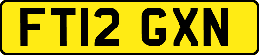 FT12GXN