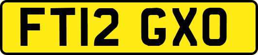 FT12GXO