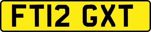 FT12GXT