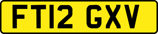 FT12GXV