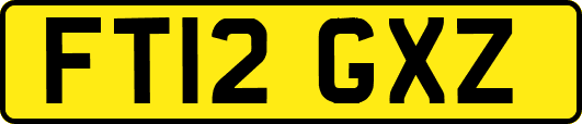 FT12GXZ