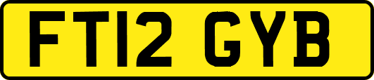 FT12GYB