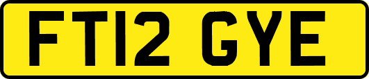 FT12GYE
