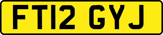 FT12GYJ