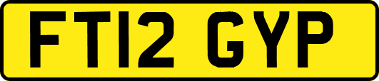 FT12GYP