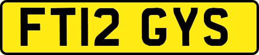 FT12GYS