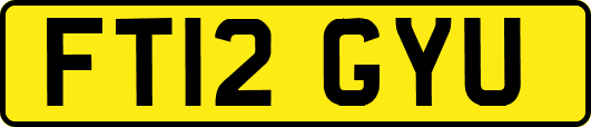 FT12GYU