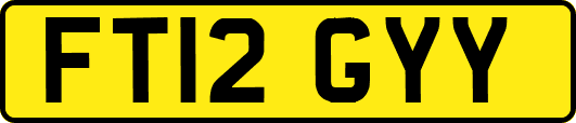 FT12GYY