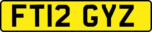 FT12GYZ