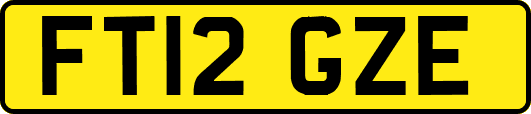 FT12GZE