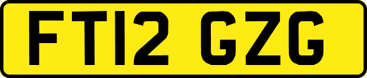 FT12GZG