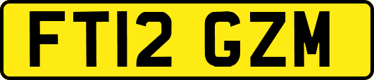 FT12GZM