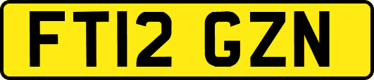 FT12GZN