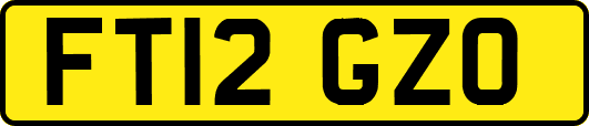 FT12GZO