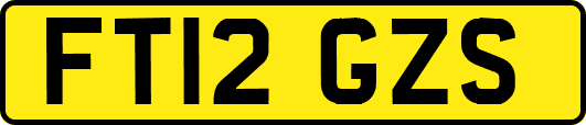 FT12GZS