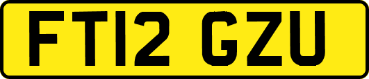 FT12GZU